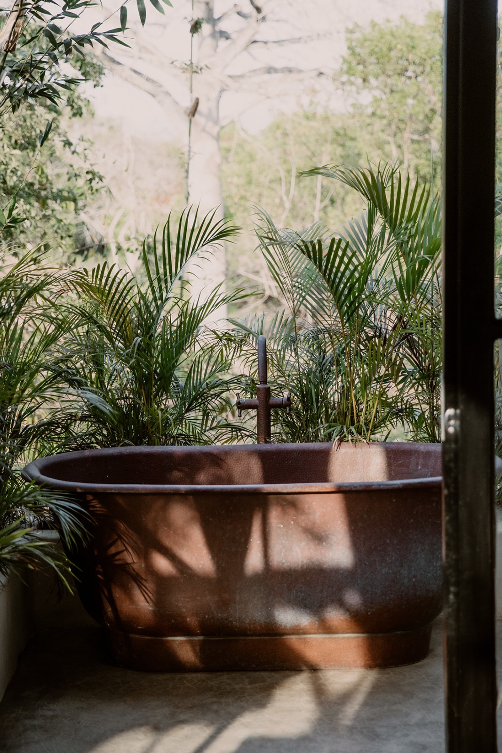 Copper tub with palms and dappled light