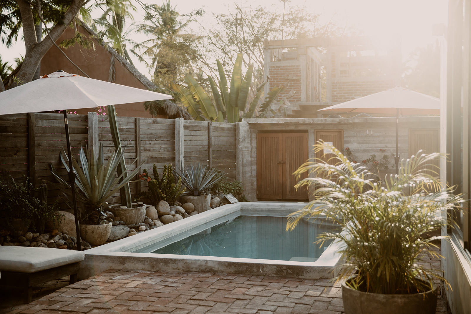 Pool with umbrellas, plants, and golden light